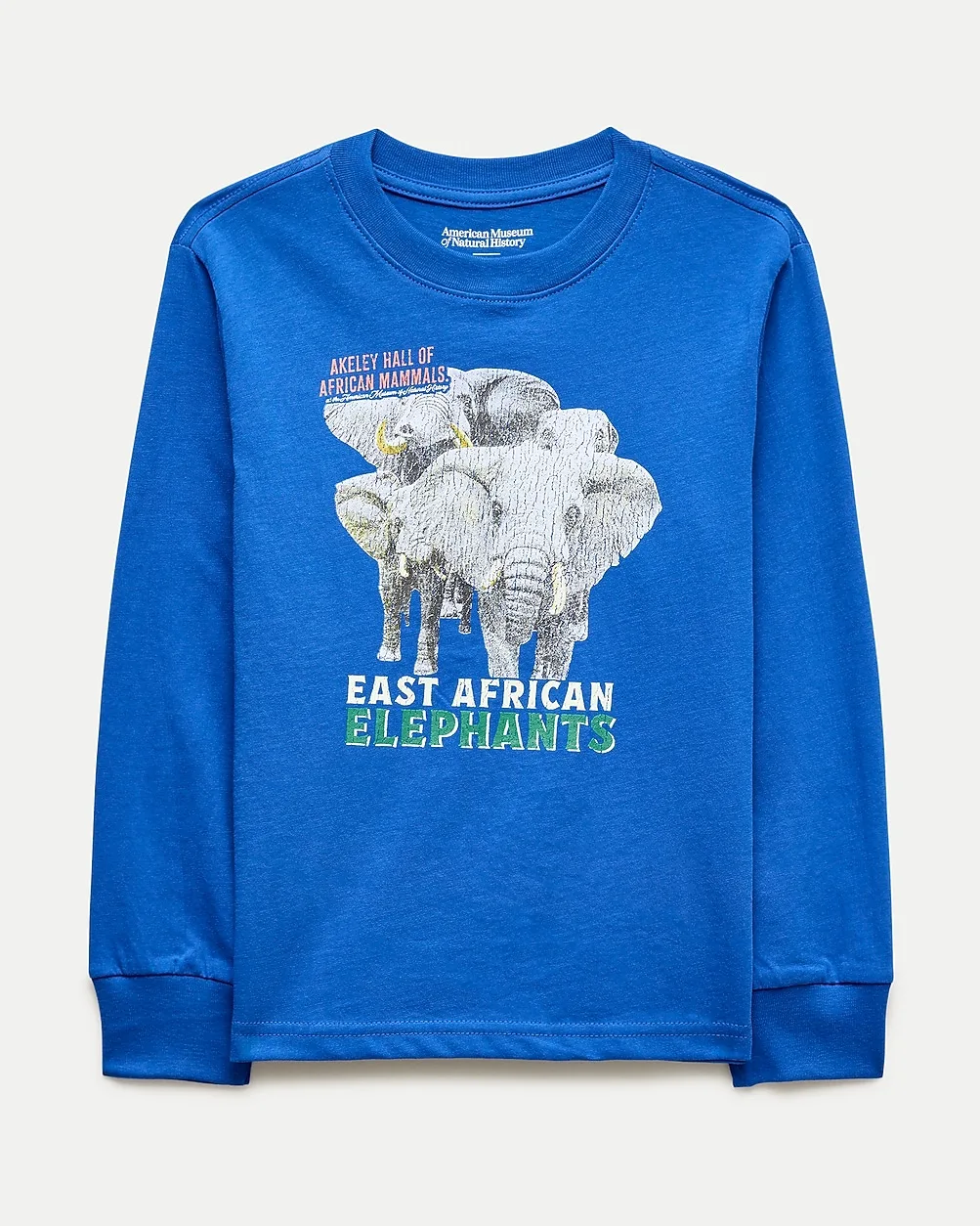 American Museum of Natural History for J.Crew East African Elephants Graphic T-Shirt by J.Crew