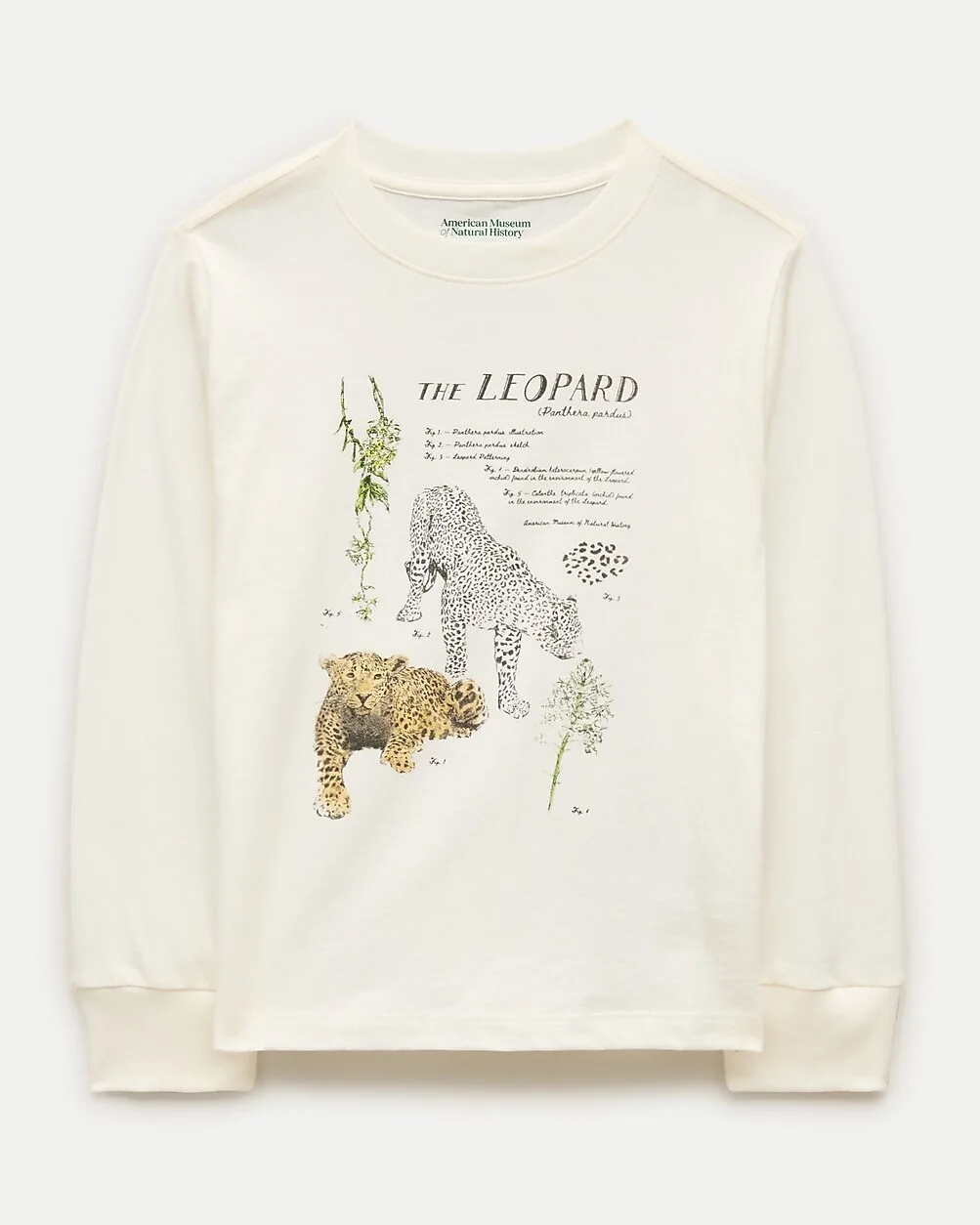 American Museum of Natural History for J.Crew Leopard Graphic T-Shirt by J.Crew