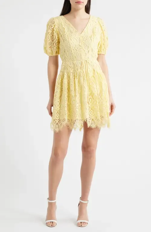 Lace Minidress by Anne Klein