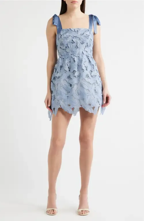 Micah Lace Minidress by Lucy Paris