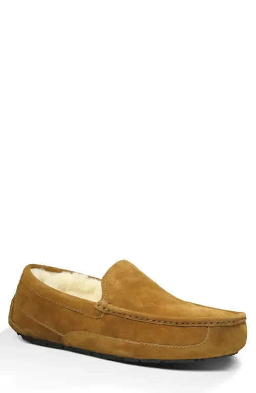 Ascot Loafer Slipper by UGG(r)