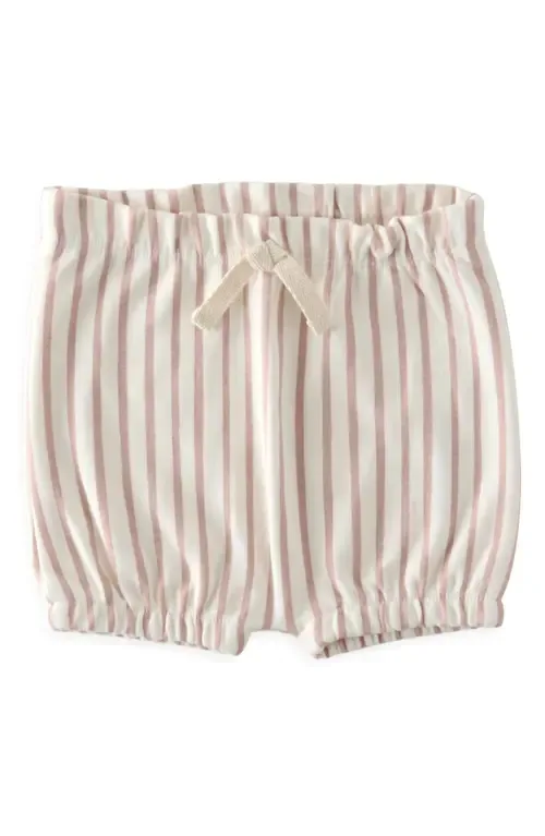 Organic Cotton Bloomers by Pehr