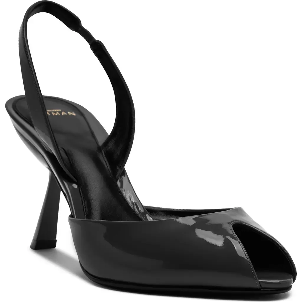 Miranda Slingback Pump by Alexandre Birman