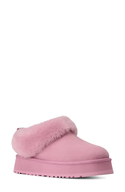 Tazzelle Genuine Shearling Collar Slipper by UGG(r)