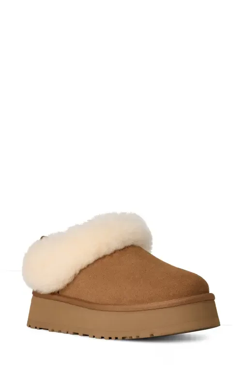 Tazzelle Genuine Shearling Collar Slipper