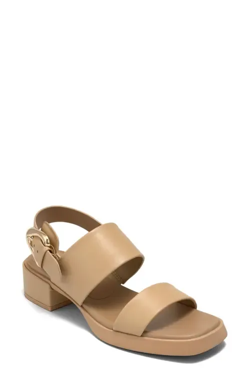 Dantay Slingback Sandal by Aerosoles