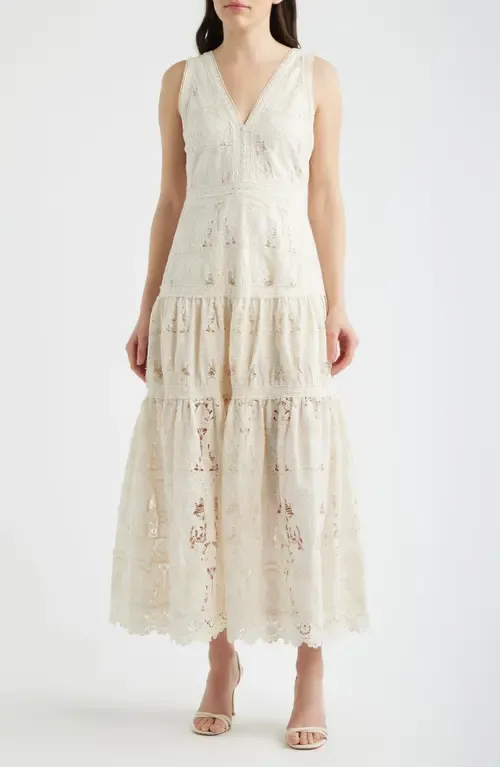 Francia Embroidered Lace Midi Dress