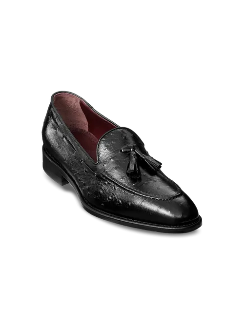 Stuart Tassel Loafer by Paul Fredrick