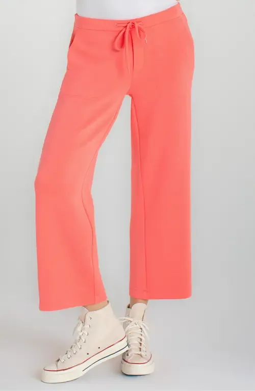 Crop Wide Leg Sweatpants by Liverpool Los Angeles
