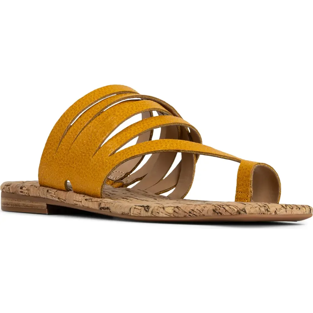 Hazie Toe Loop Sandal by Donald Pliner
