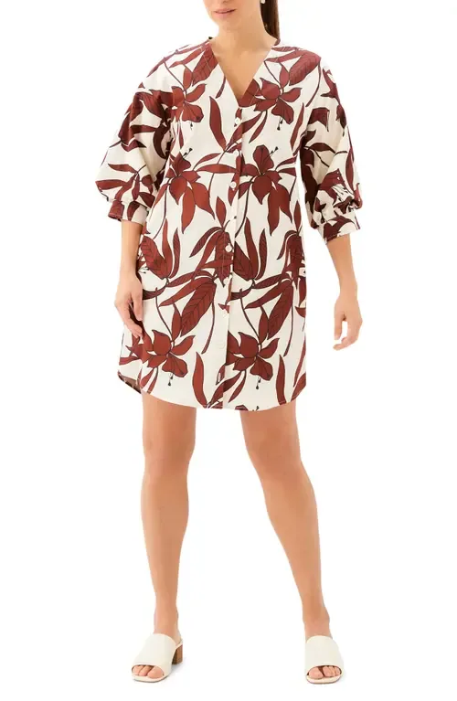 Lantern Sleeve Dress by Karen Kane
