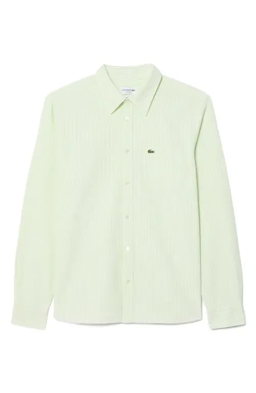 Essentials Stripe Cotton Button-Up Oxford Shirt by Lacoste