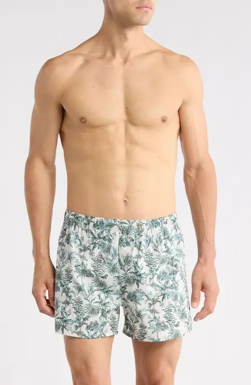 Modern Woven Stretch Cotton Boxers by Nordstrom