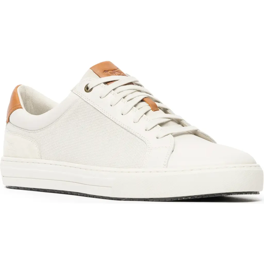 Transit Sneaker