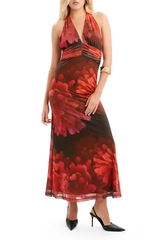 Elera Print Halter Mesh Maxi Dress by Bardot