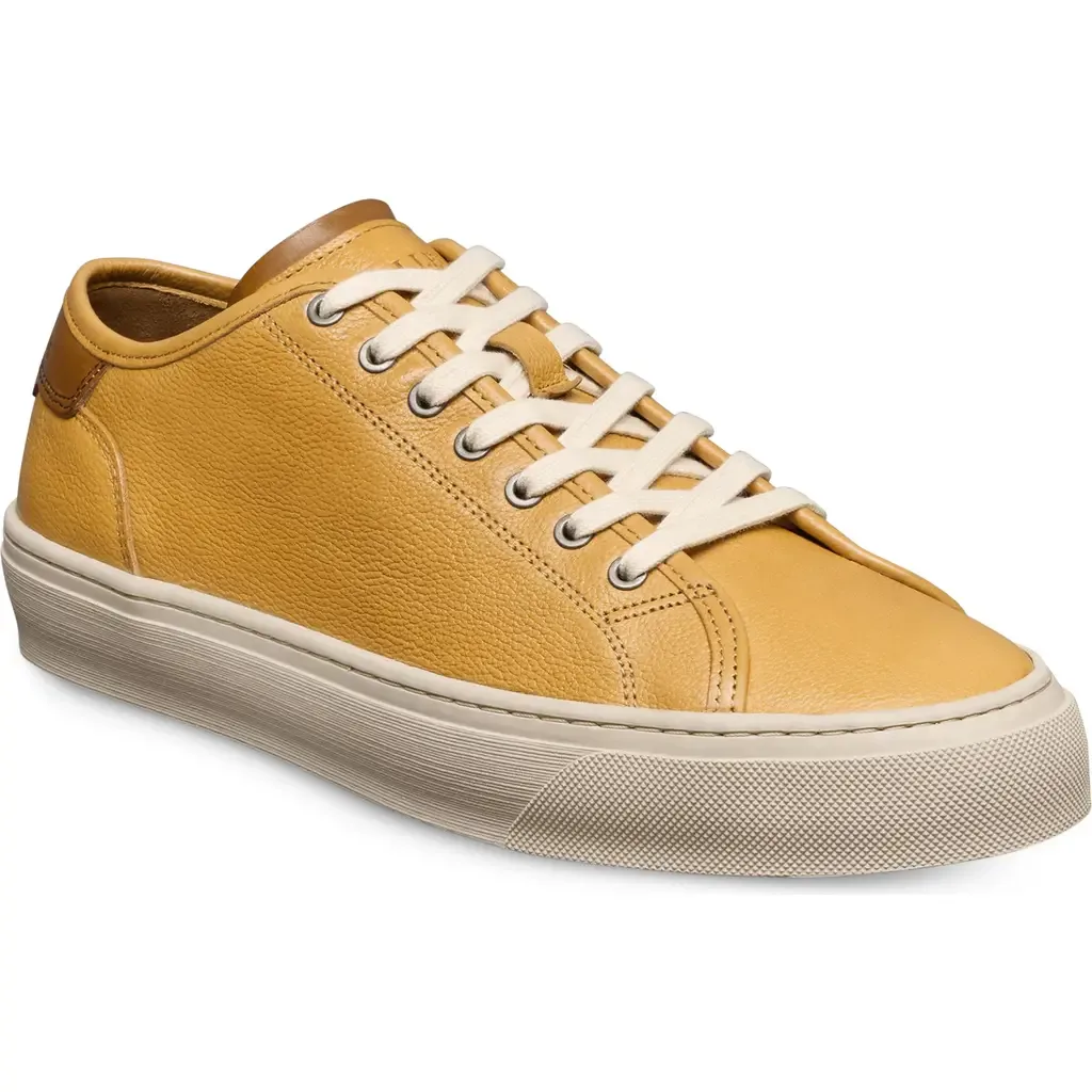 Jones Low Top Sneaker by Allen Edmonds