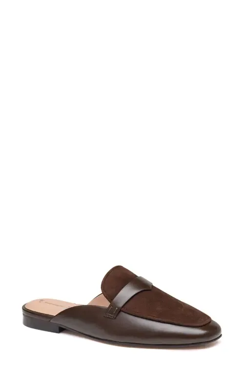 Isabel Penny Mule in Chocolate Suede by Johnston & Murphy