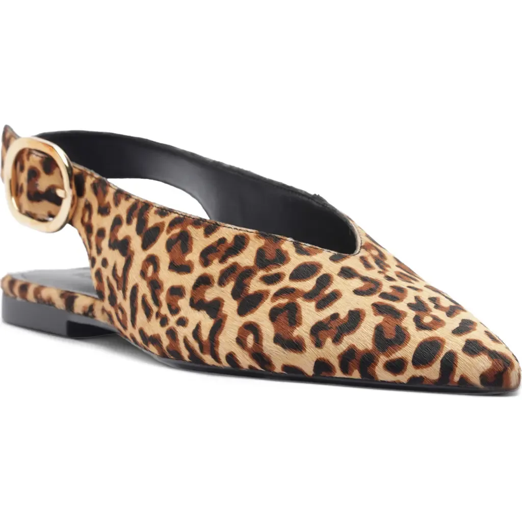 Atlas Pointed Toe Slingback Flat by Arezzo
