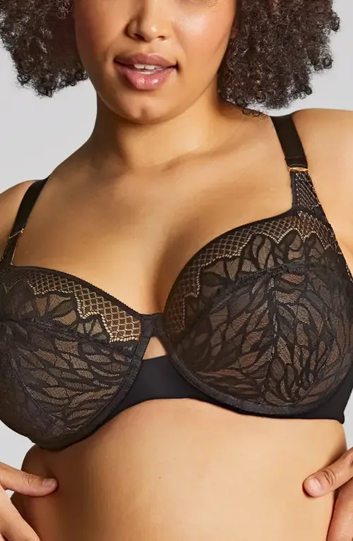 Sophia Underwire Full Coverage Stretch Lace Bra by Panache