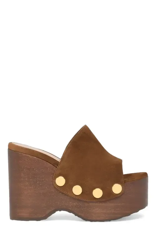 Ardèa Mules in Brown Leather by Gianvito Rossi
