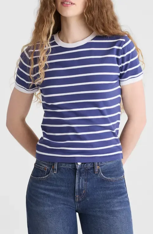 Allday Stripe Crewneck Baby Tee by Madewell