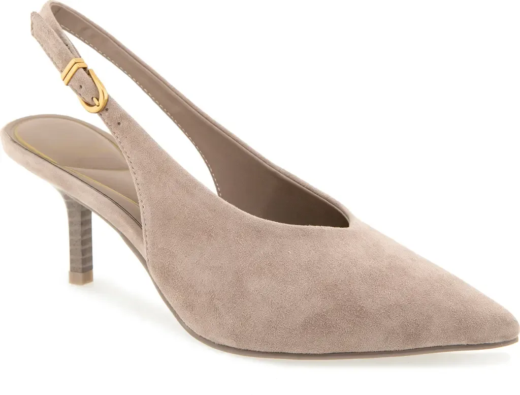 Ulysses Pointed Toe Slingback Pump