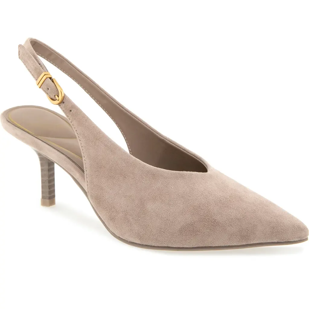 Ulysses Pointed Toe Slingback Pump