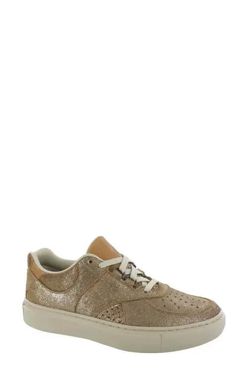 High Street x Sneaker by SAS