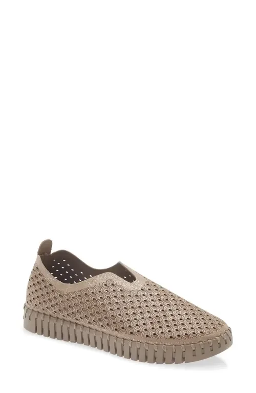 Tulip 3224 Slip-On Sneaker by Ilse Jacobsen
