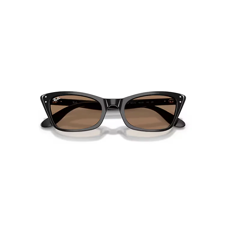 Lady Burbank Polarized+ Lenses Sunglasses Black Frame Brown Lenses by Ray-Ban