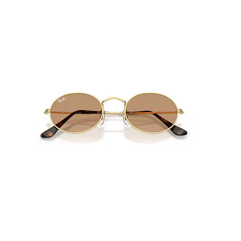 Oval Metal Summer Capsule Sunglasses Arista Gold Frame Brown Lenses