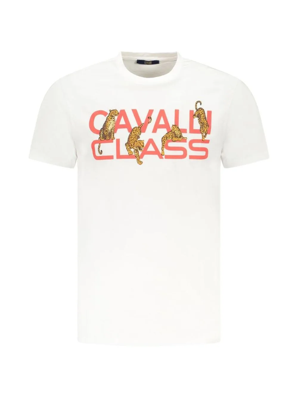 Leopard-Print Logo T-Shirt by Cavalli Class