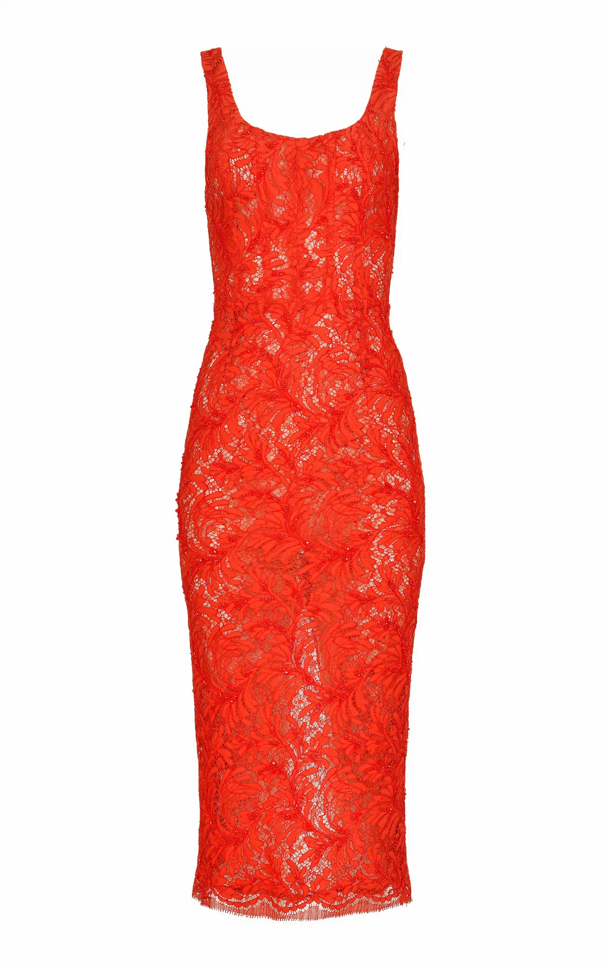 Stellar Lace Cotton Midi Dress by Francesca Miranda