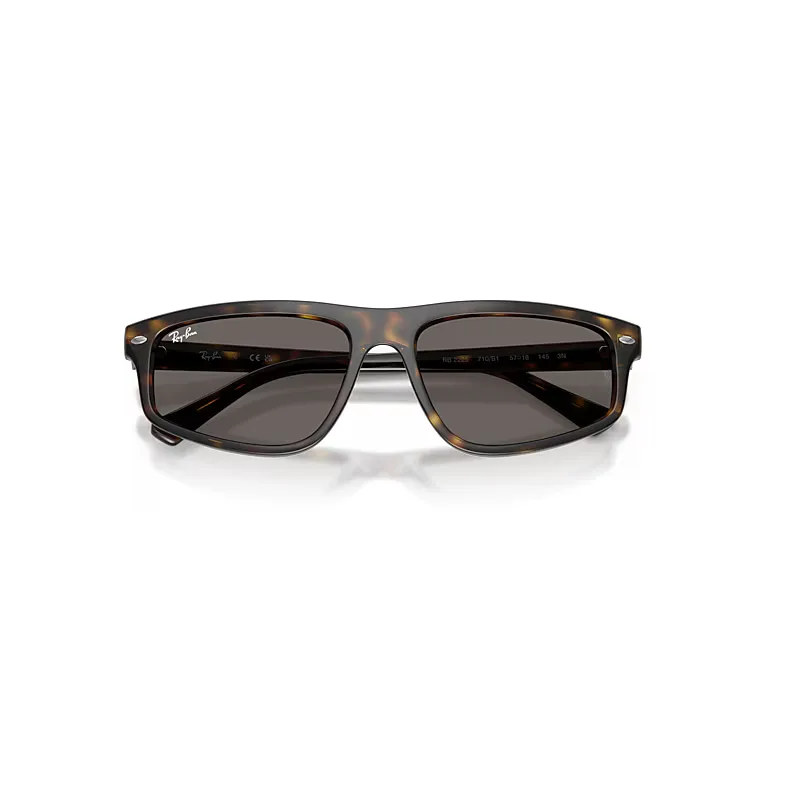 Rb2225 Sunglasses by Ray-Ban