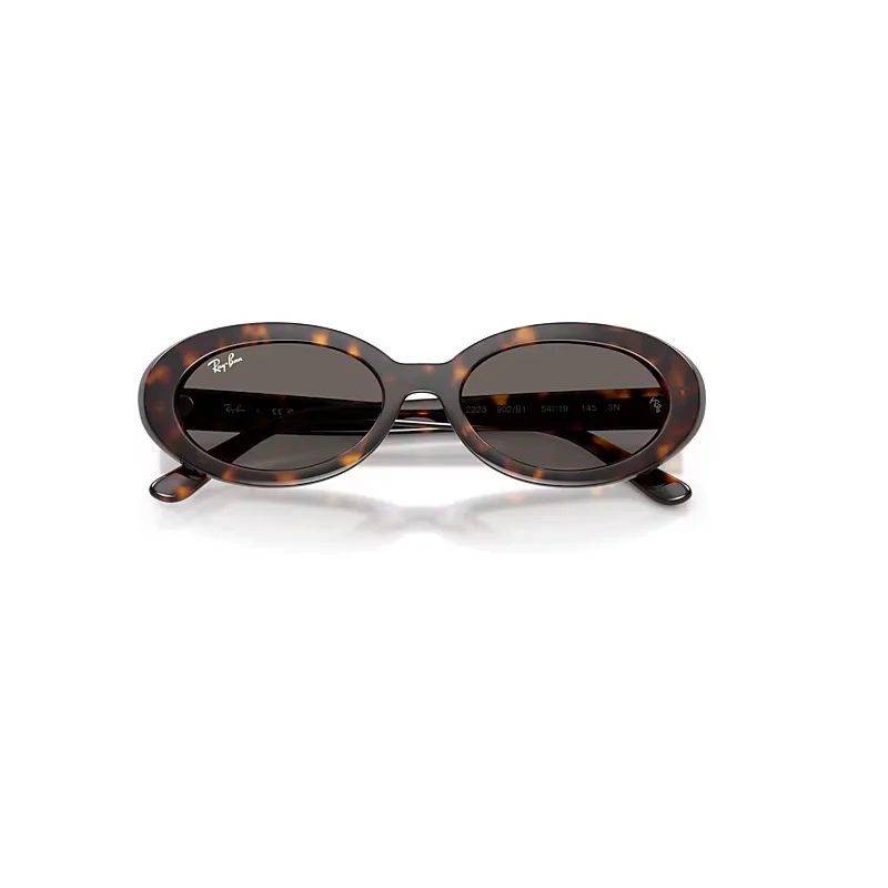 Rb2223 Sunglasses Grey Lenses by Ray-Ban