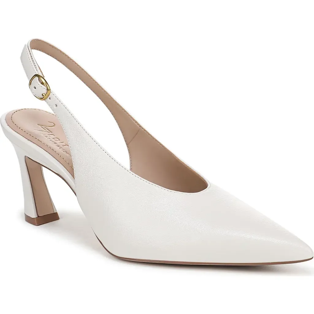 Elaine Slingback Pointed Toe Pump