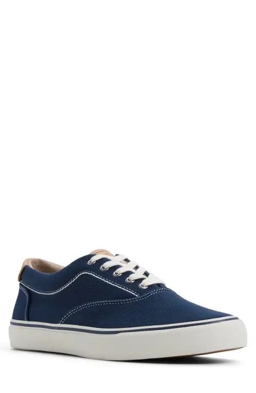 CVO Helm Low Top Sneaker by Sperry