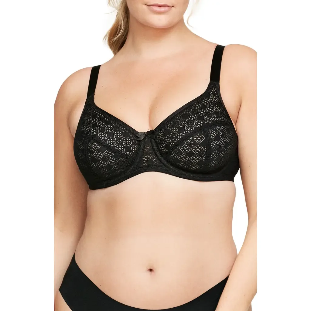 Full Figure Lace Underwire Bra