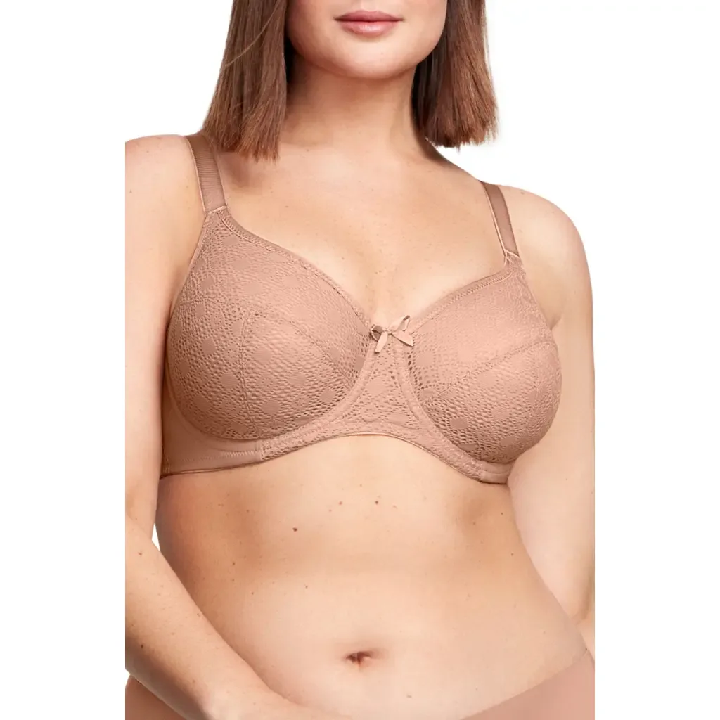 Full Figure Lace Underwire Bra