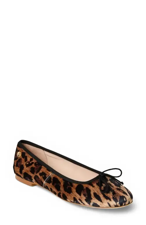 Bettie Velvet Ballet Flat by Jack Rogers