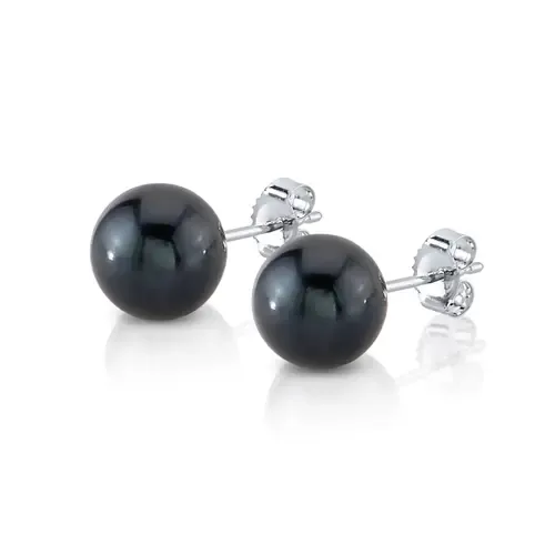 7.5-8.0mm Black Akoya Round Pearl Stud Earrings in White Gold by The Pearl Source