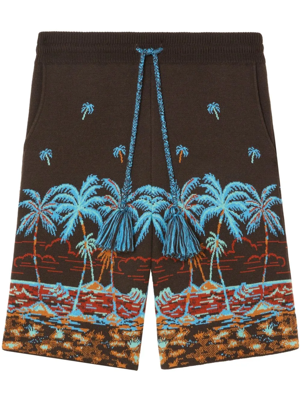 The Tale of Hawaiian Shorts by Alanui