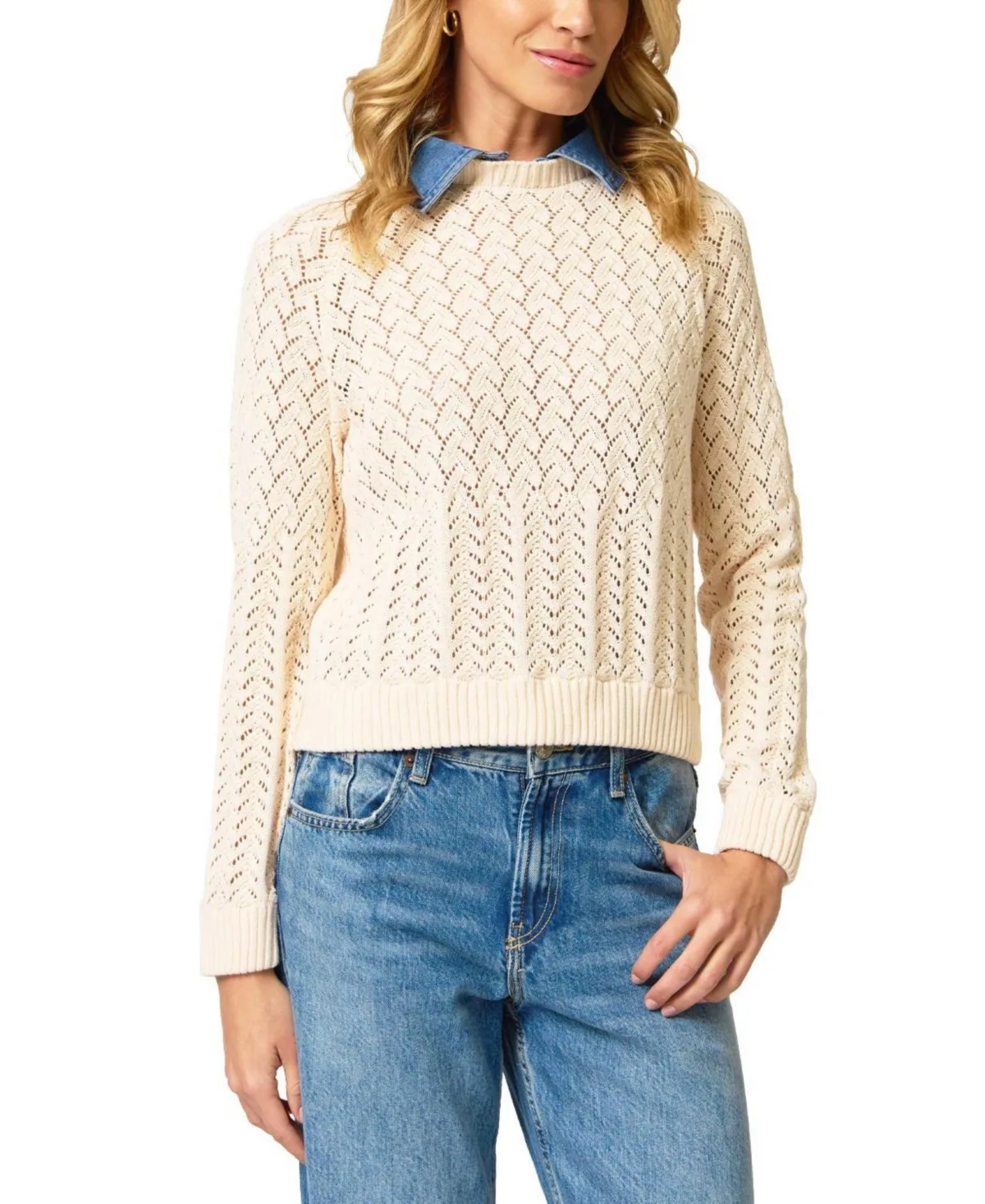 Hazel Denim Collared Pointelle Sweater by Central Park West