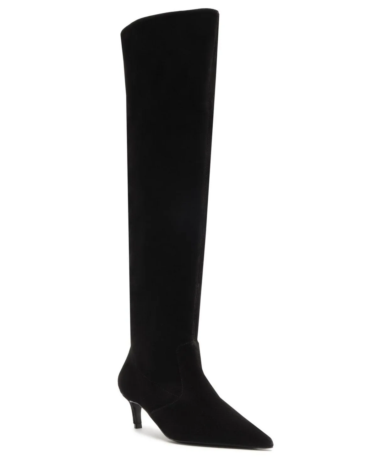 Odessa Kitten Heel Dress Boots by Schutz