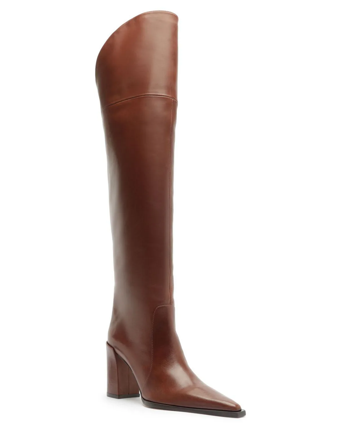 Raffaela Over-The-Knee Block Heel Boots by Schutz