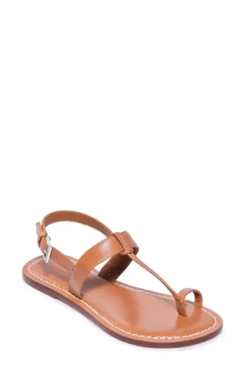 Maverick 2 Toe Loop Sandal by Bernardo Footwear
