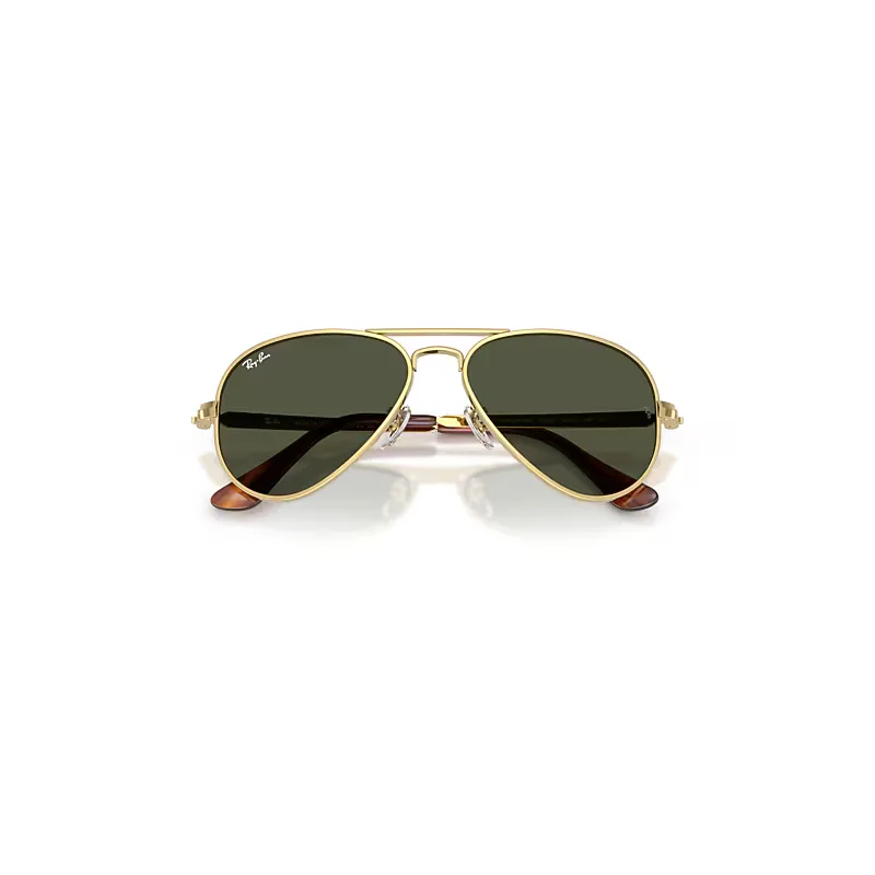 Aviator Max Sunglasses by Ray-Ban