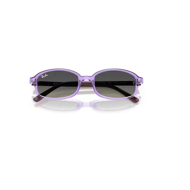 Rb9132s Sunglasses Grey Lenses by Ray-Ban