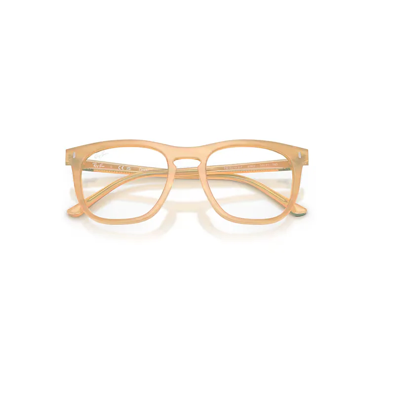 Rb2210v Optics Change Eyeglasses Clear Lenses Polarized by Ray-Ban