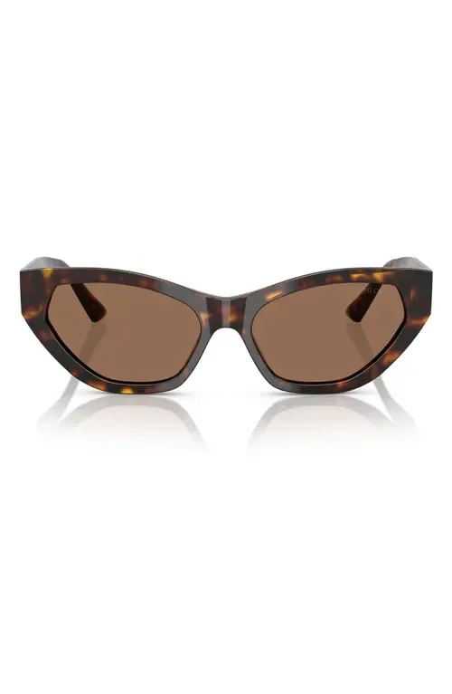 55mm Cat Eye Sunglasses by Jimmy Choo
